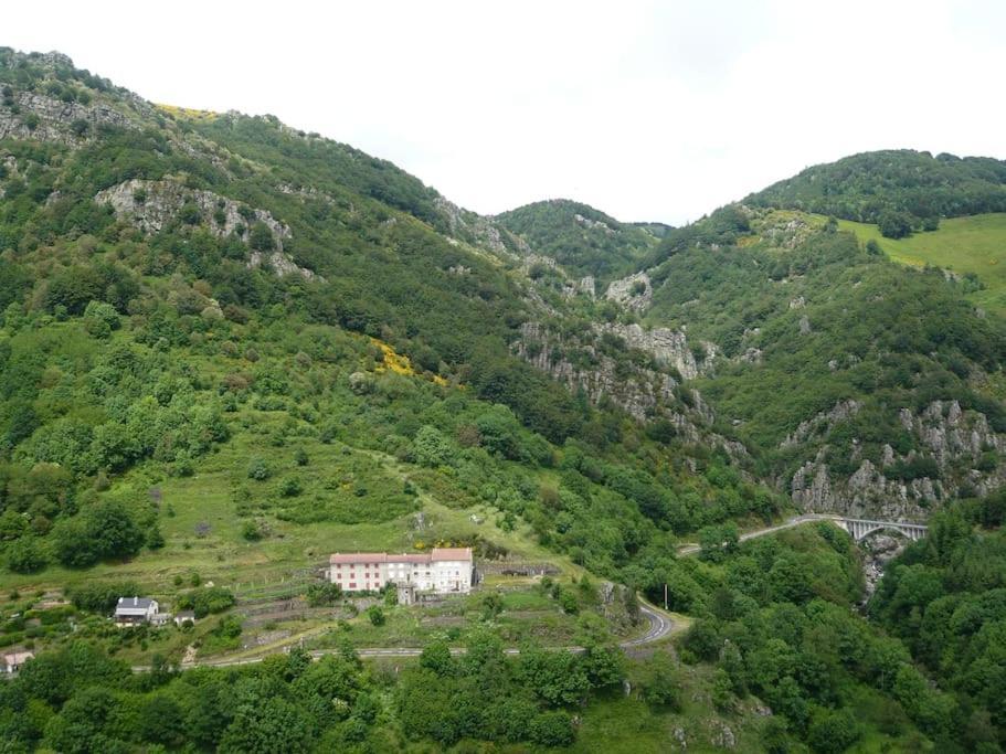 Gite De Noe Au Ray-Pic Pereyres Exterior photo